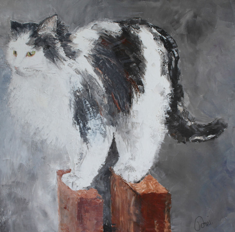 huile du chat Taita.